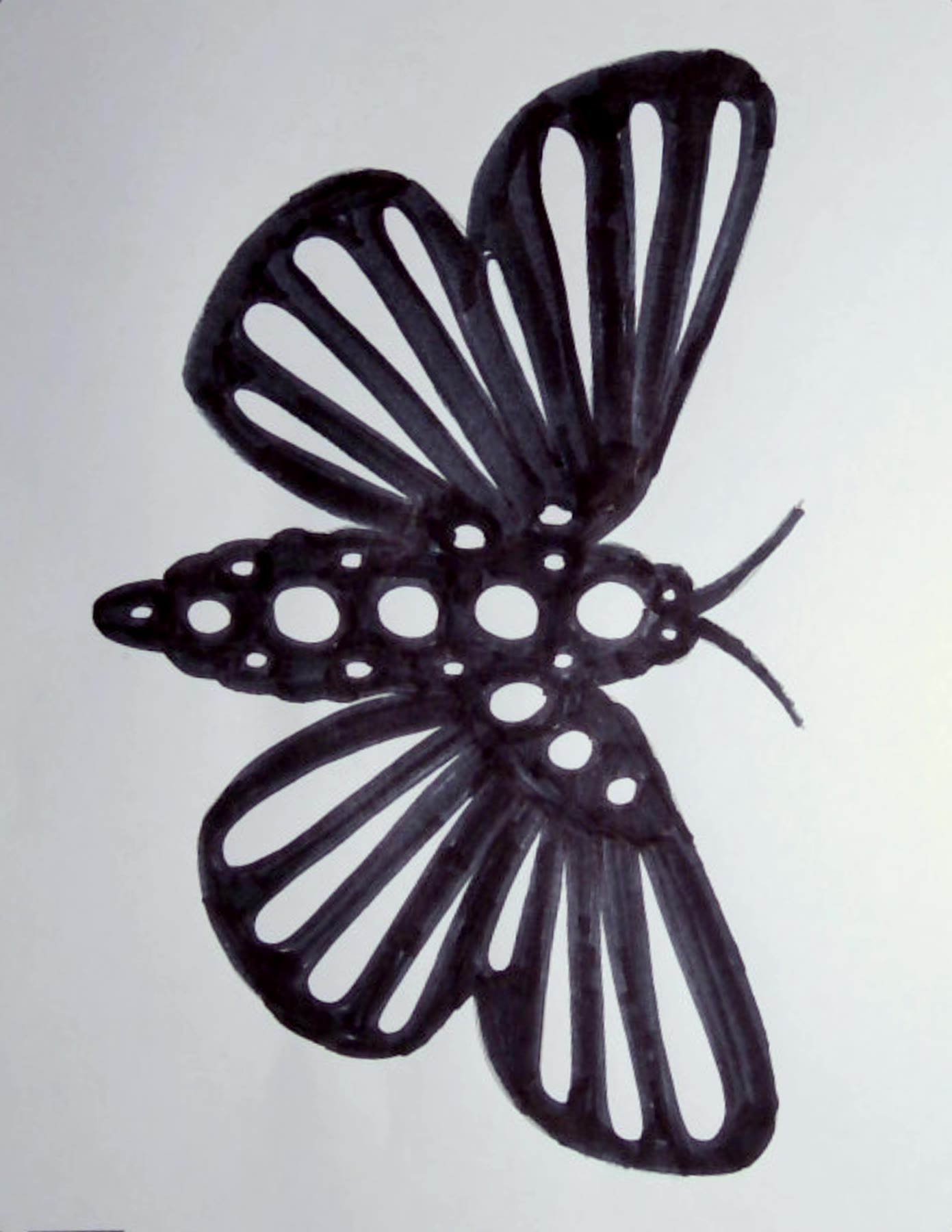Scanned butterfly coloring page filled in solid black marker with white negative-space wing veins and dots, on white paper