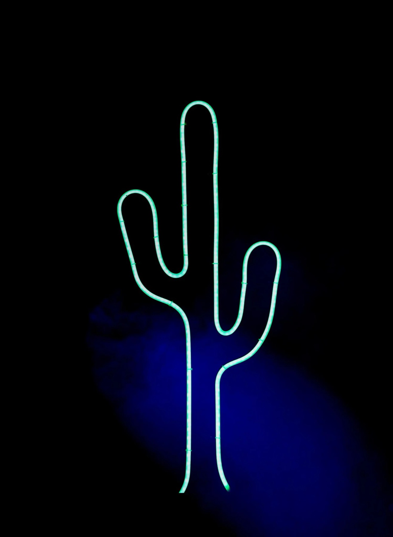 A single cactus fixture lit cyan against a dark background, with a blue glow on the floor beneath it